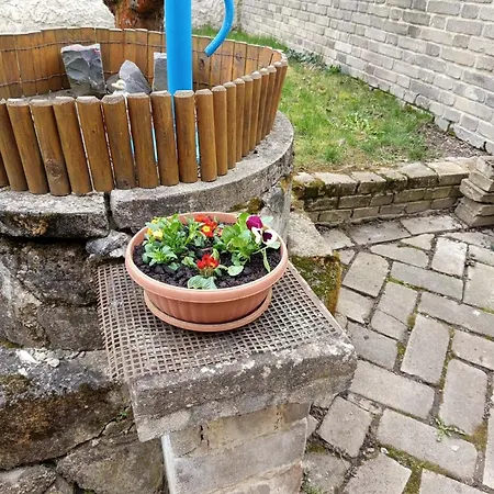 Prizemni S Koupelnou A Kuchyni *